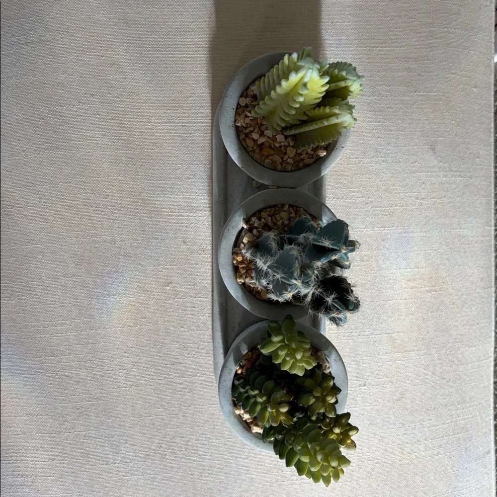 Hobby Lobby Faux Succulents in Distressed Gray Concrete Pots, Great Condition